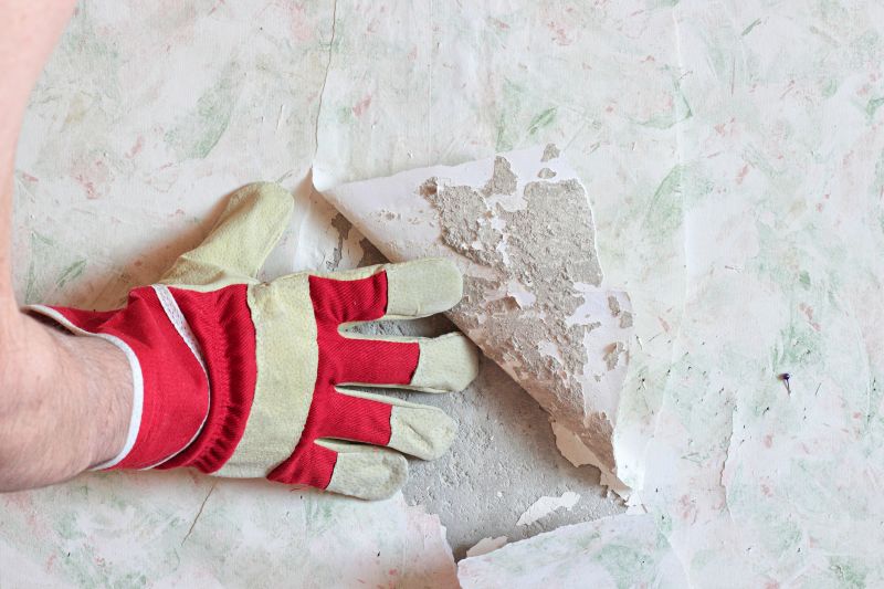 Wallpaper Removal Service in Denver, CO